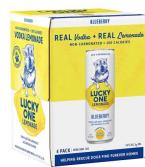 Lucky One - Adopted by: High Noon - Vodka Blueberry Lemonade (355ml)
